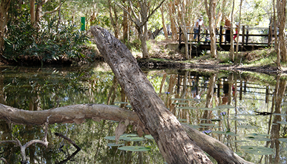 Arkarra Lagoons