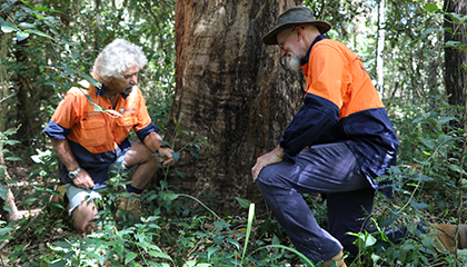 Botanic gardens bushcare