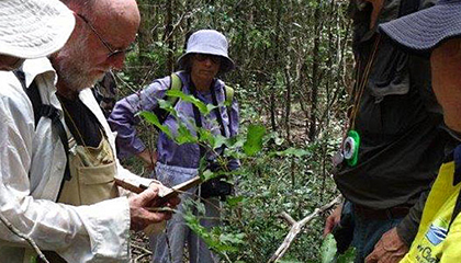 Citizen science group