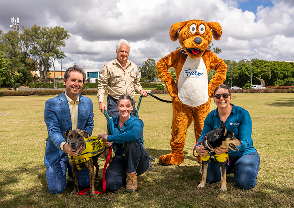 Dog s day out media release 600x424