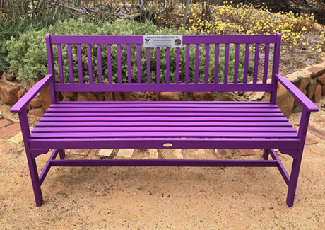 Coloured benches to shine a spotlight on domestic violence – Fraser ...