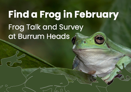 Find a Frog in February