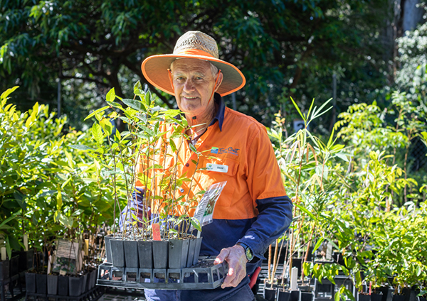 Fraser Coast Community Nursery