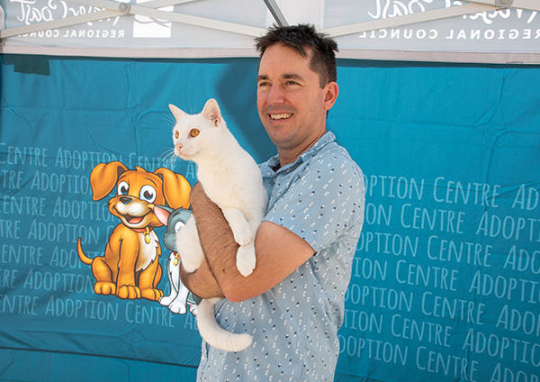 The Fraser Coast Adoption Centre has an abundance of cats and kittens looking for their fur-ever homes this Christmas.