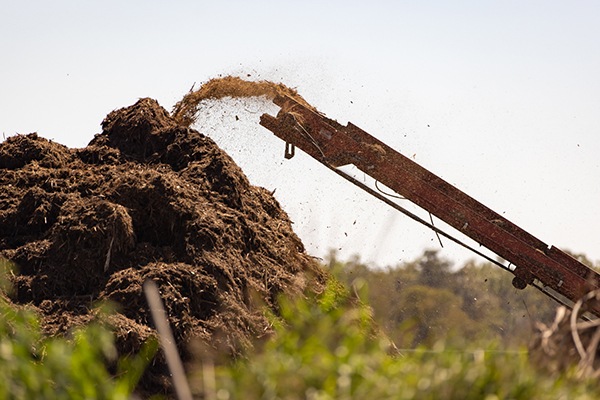 Green waste processing