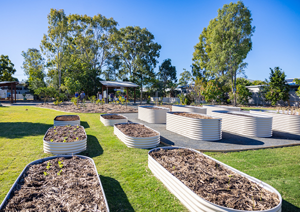 Halcro Street Community Gardens