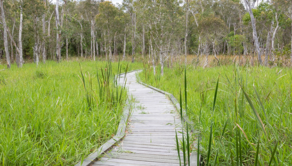 Fay Smith Wetlands