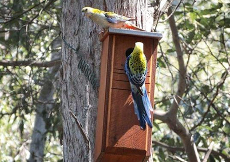 Nesting box