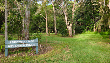 Parraweena park bushland reserve