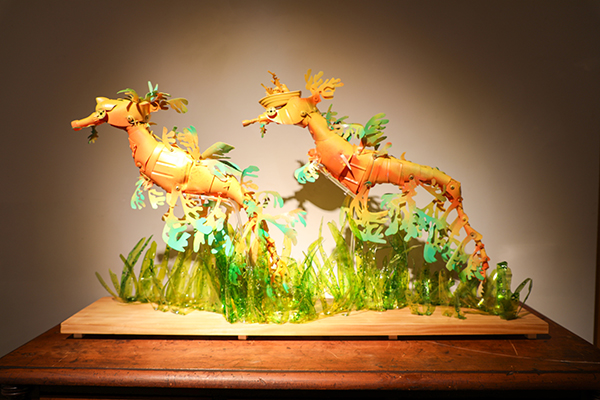 Over 18s Category - 3rd Prize - Rebecca Hoyes, Scruffy and Sherbet (Leafy Sea Dragons)